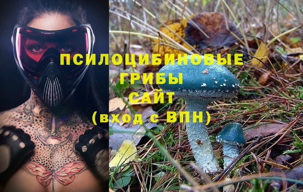 скорость Алзамай