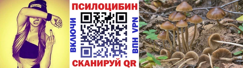 Галлюциногенные грибы мухоморы  блэк спрут сайт  Печоры 